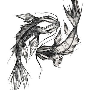 Meet your Posher, Kenai